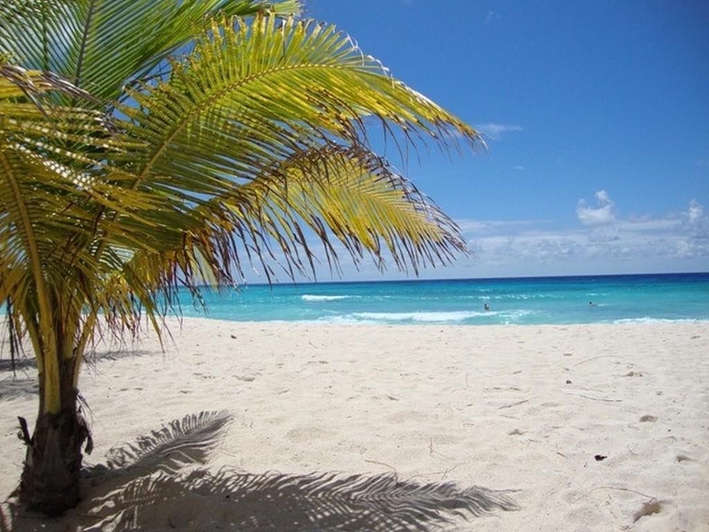 Beach Guest House Cleverdale Bridgetown Cameră foto